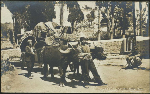 Lot 01943