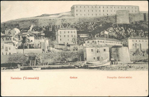 Lot 01556