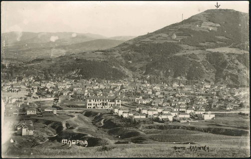 Lot 03447