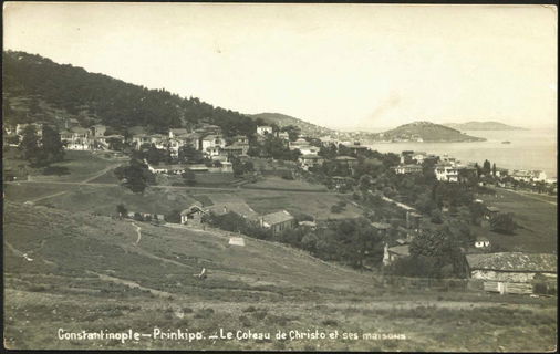 Lot 01941