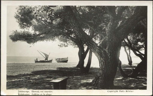 Lot 03052