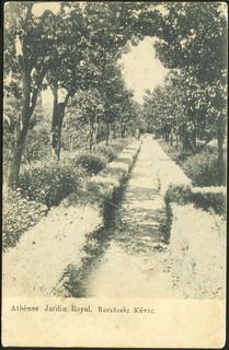 Lot 01551