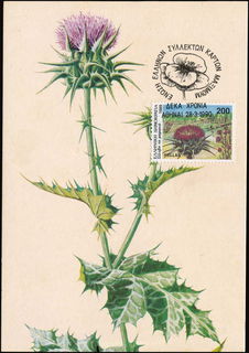 Lot 02266