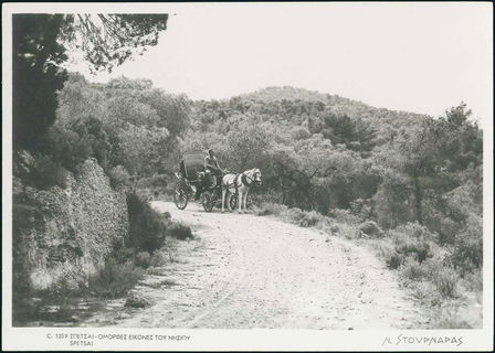 Lot 03457