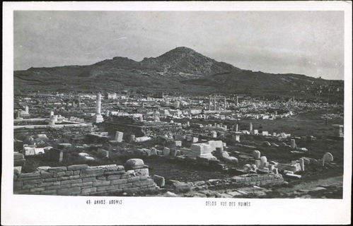 Lot 01381