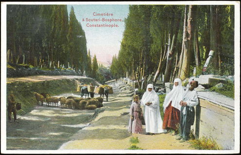 Lot 02577
