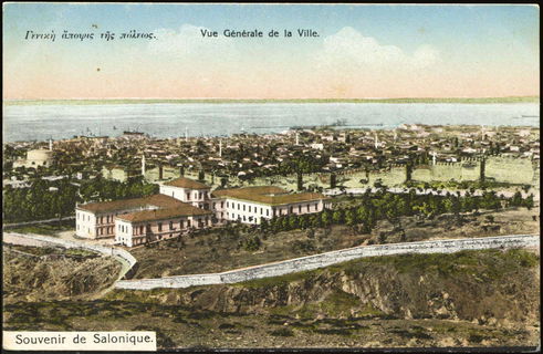 Lot 01576