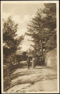 Lot 08839