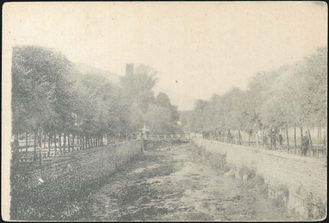 Lot 03958