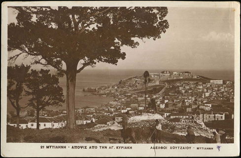 Lot 02337
