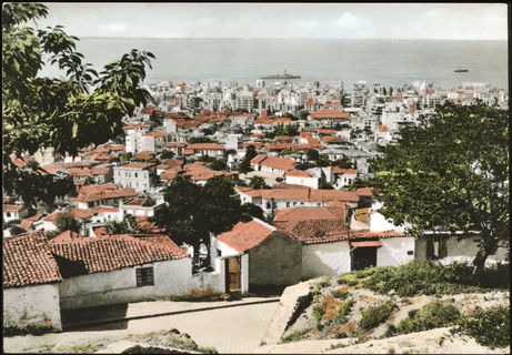 Lot 03488