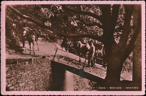 Lot 01455
