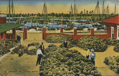 Lot 02172
