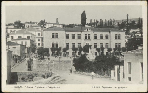 Lot 03913