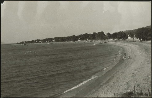 Lot 03909