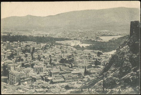 Lot 03891