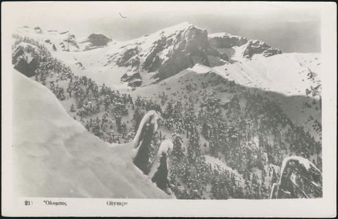 Lot 03957