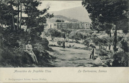 Lot 01316
