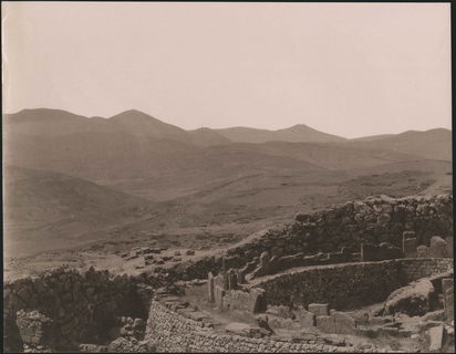 Lot 04363