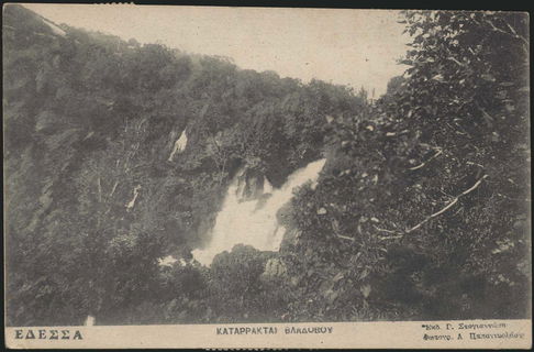 Lot 02268