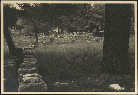 Lot 04417