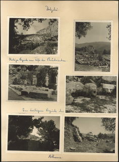 Lot 04429