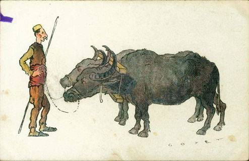 Lot 02677