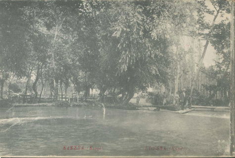Lot 03518