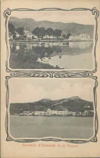 Lot 03524