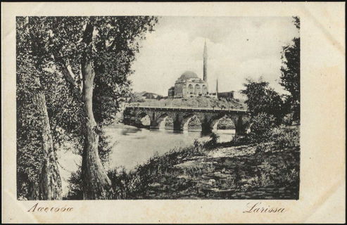 Lot 04081