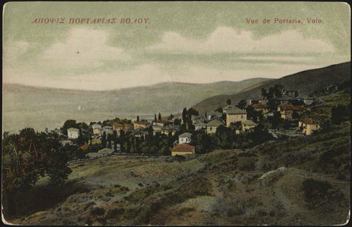 Lot 04164