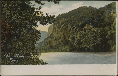 Lot 04168