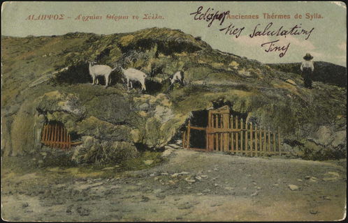 Lot 04176