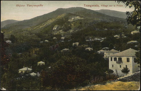 Lot 04209