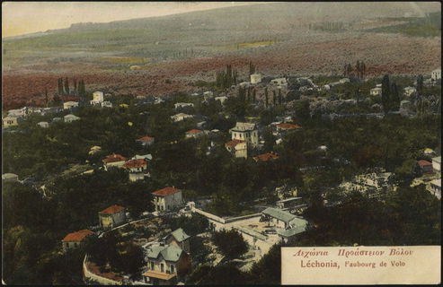 Lot 04211