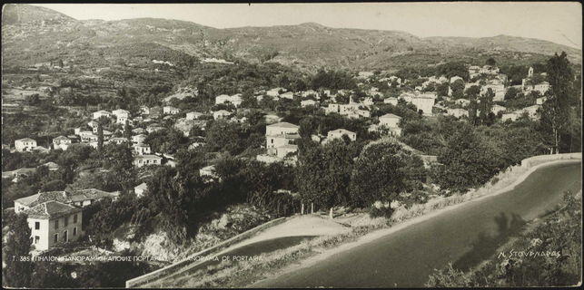 Lot 03646