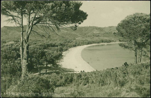 Lot 02668