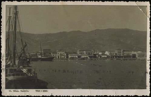 Lot 03554