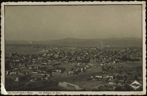 Lot 03555
