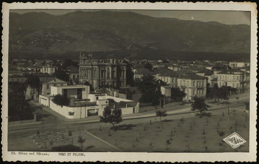Lot 03557