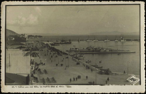 Lot 03558