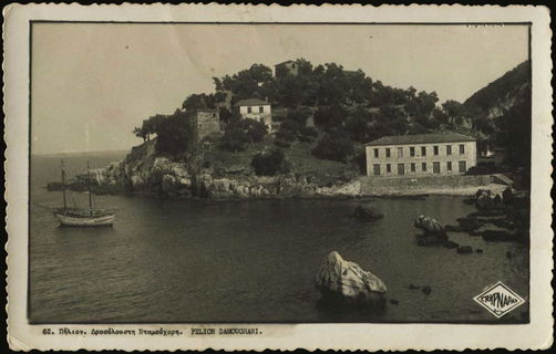 Lot 03559