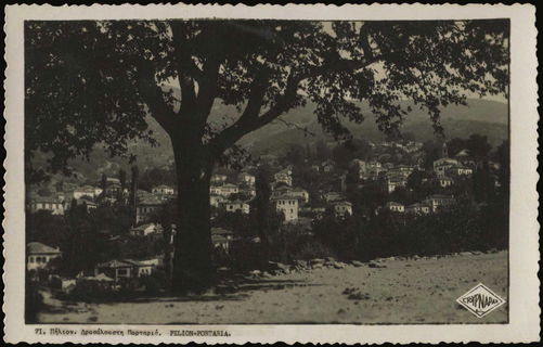 Lot 03560