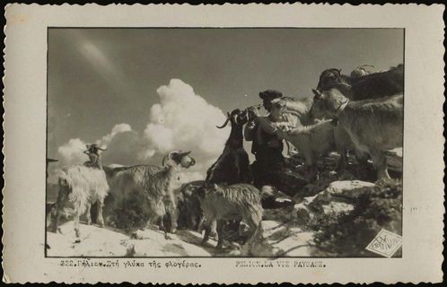 Lot 03572