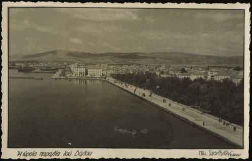 Lot 03581