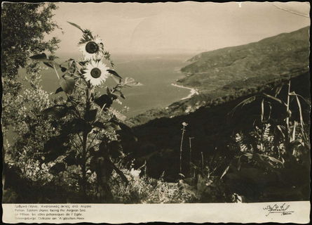 Lot 03595
