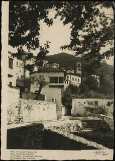 Lot 03603