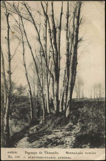 Lot 01580