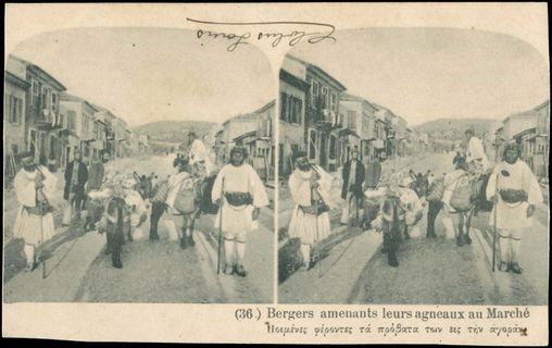 Lot 02397
