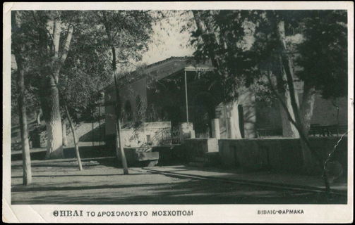 Lot 02408